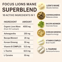 OUSH Focus™ | Nootropic Brain & Energy Support